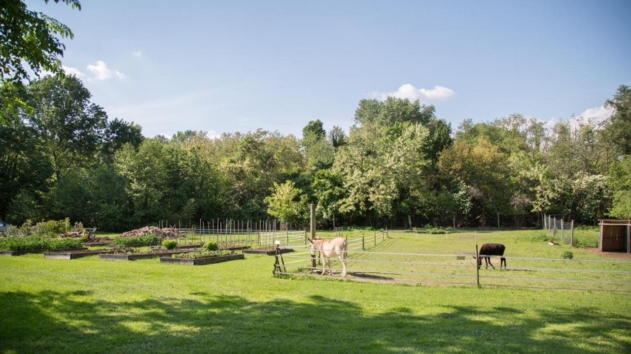 La Collina Delle Mignole Villa Moruzzo Exterior foto